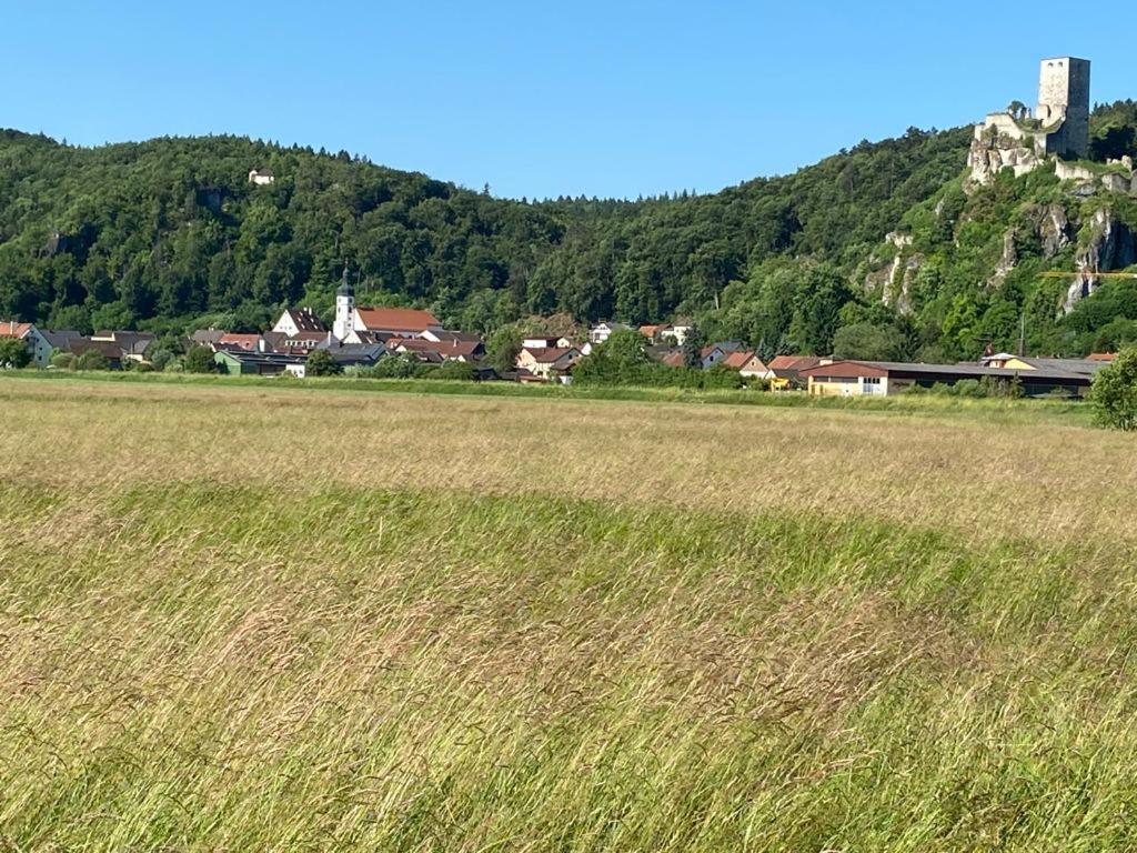 Ferienwohnung Im Wunderschoenen Altmuehltal Wellheim Екстериор снимка